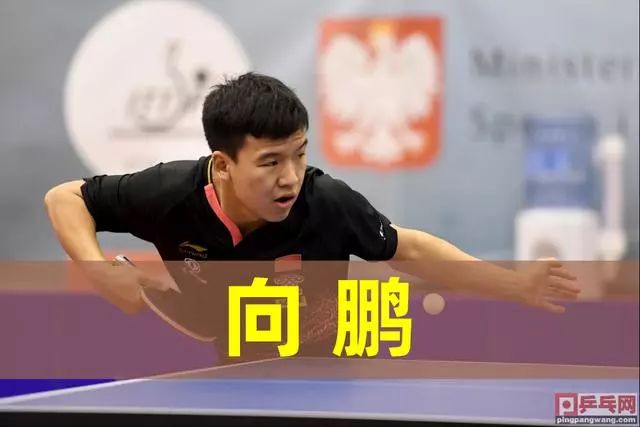 比朔夫加盟 比朔夫加盟